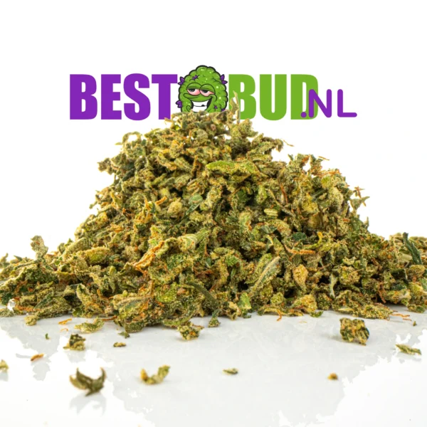 Amnesia Haze Gruis